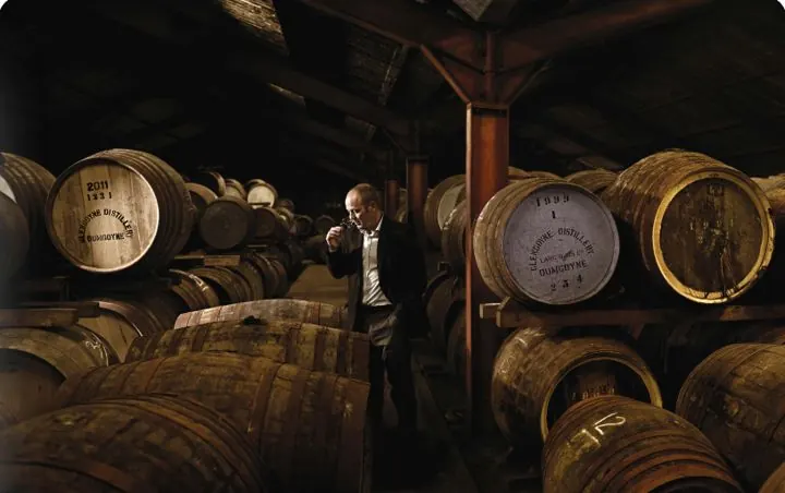 Cellar master inspecting whisky casks